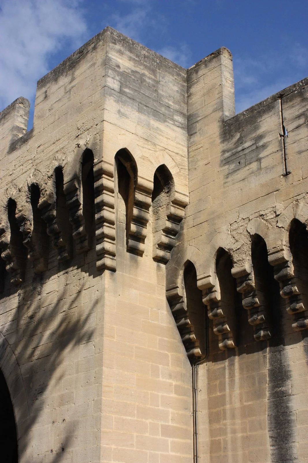 Avignon 2011 - L1