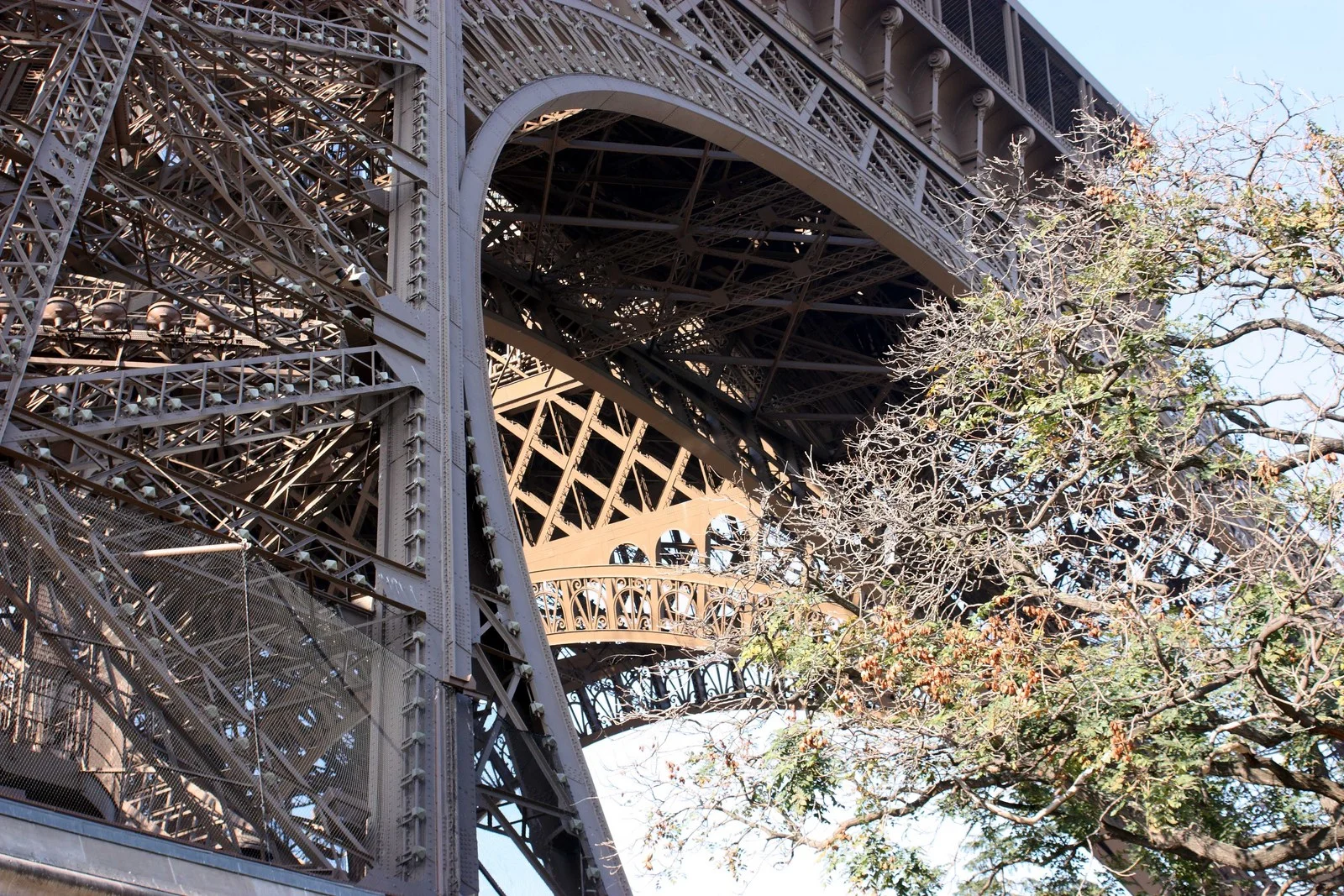 Paris 2011 - L7