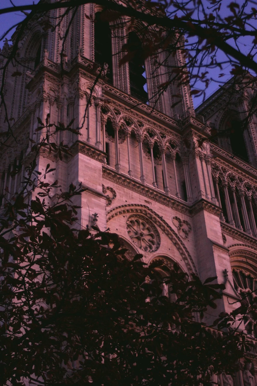 Paris 2011 - L2