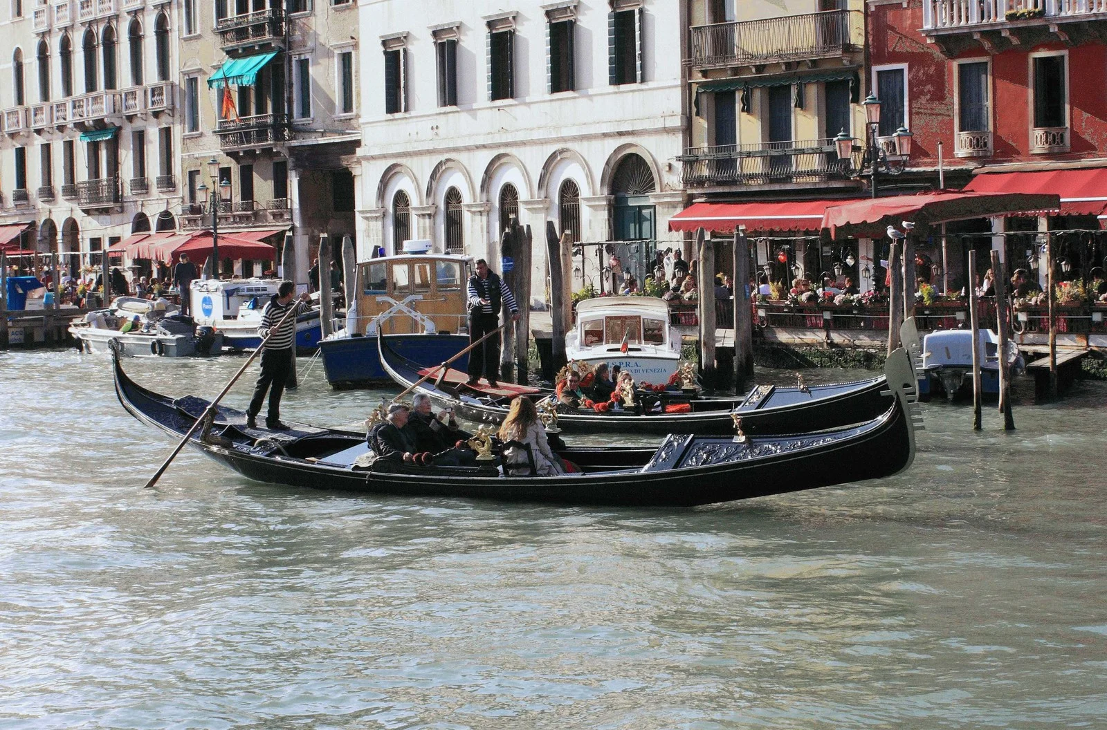 Venice 2010 - L8