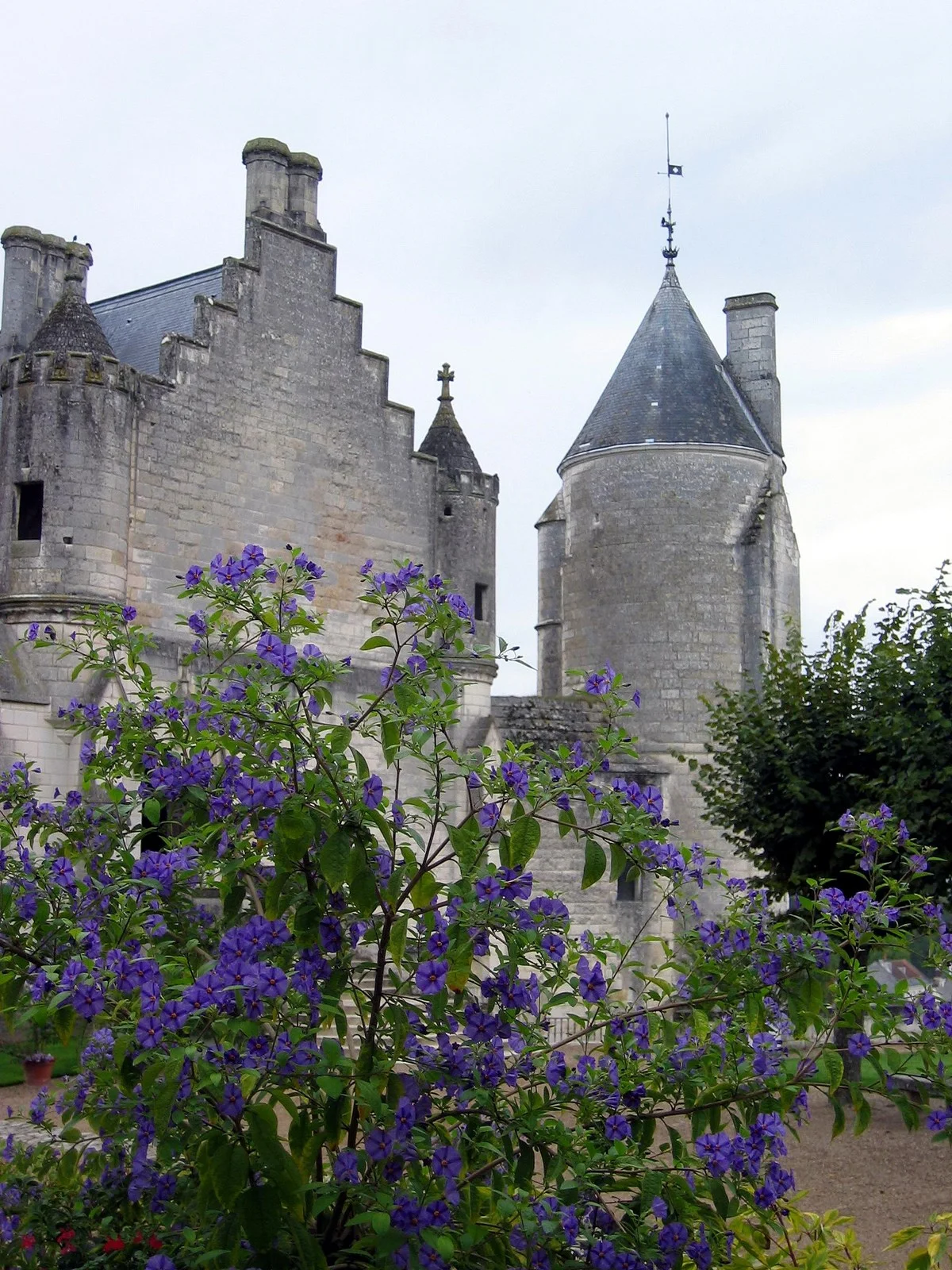 Loire Valley - D16