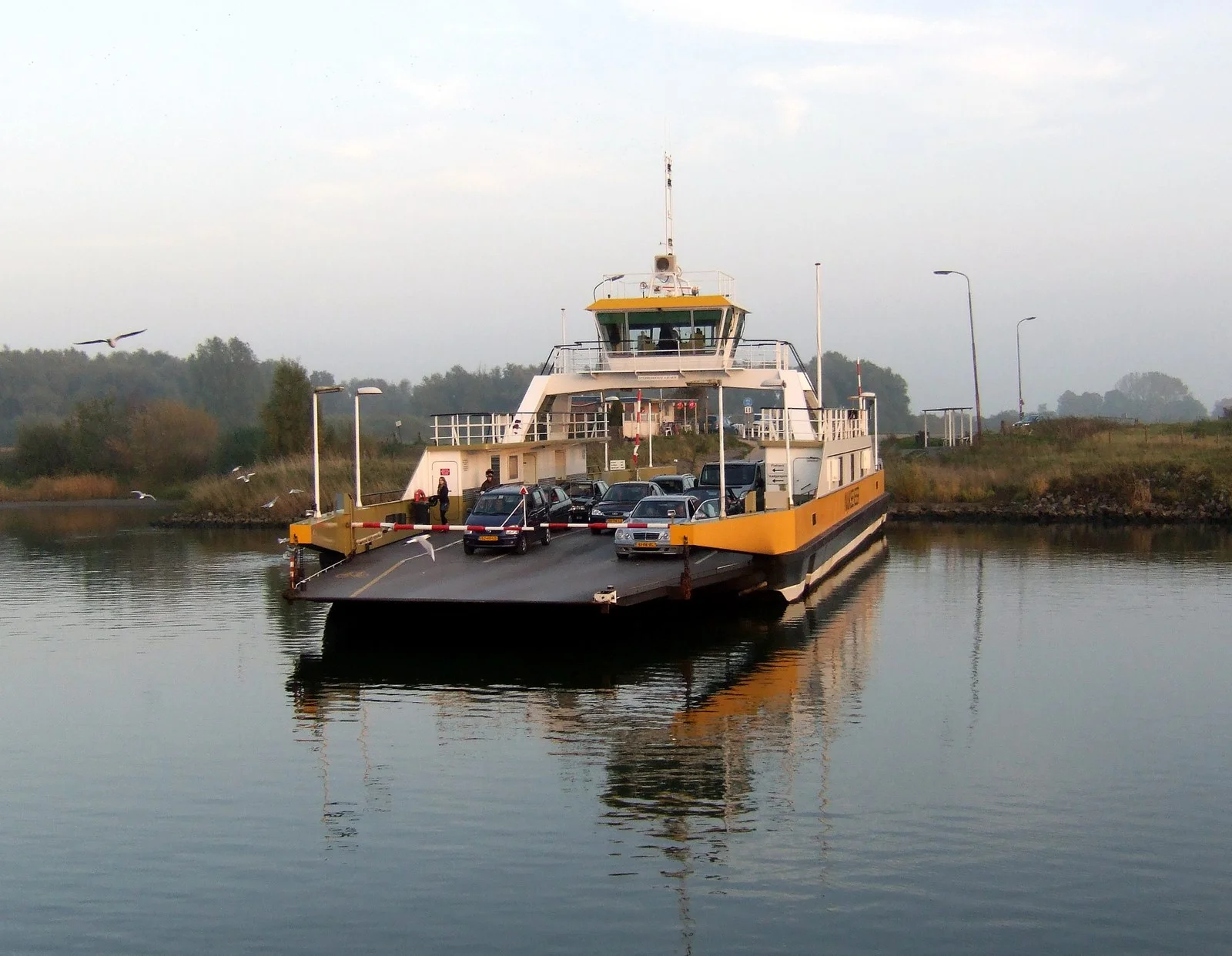 Netherlands - L1