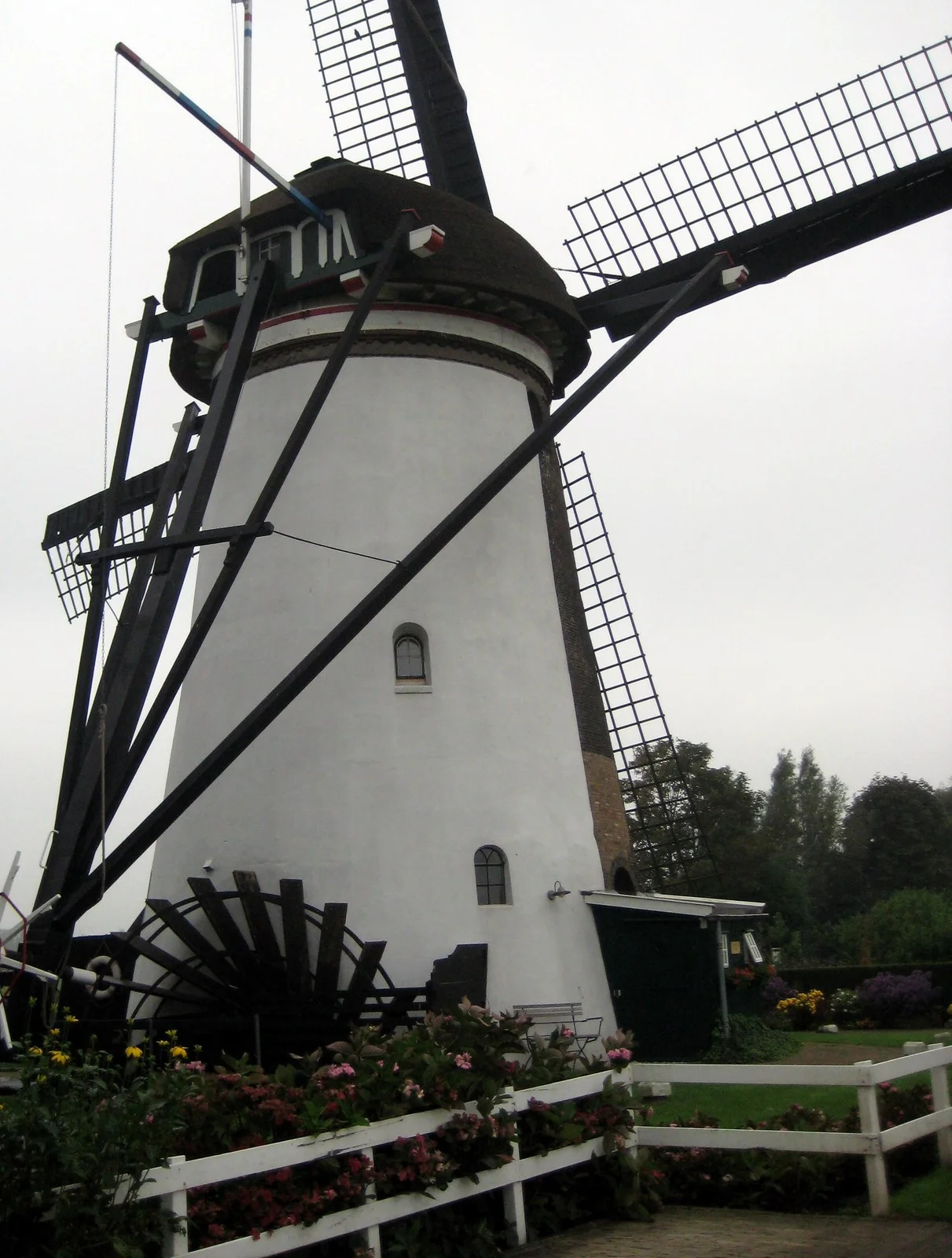 Netherlands - D1