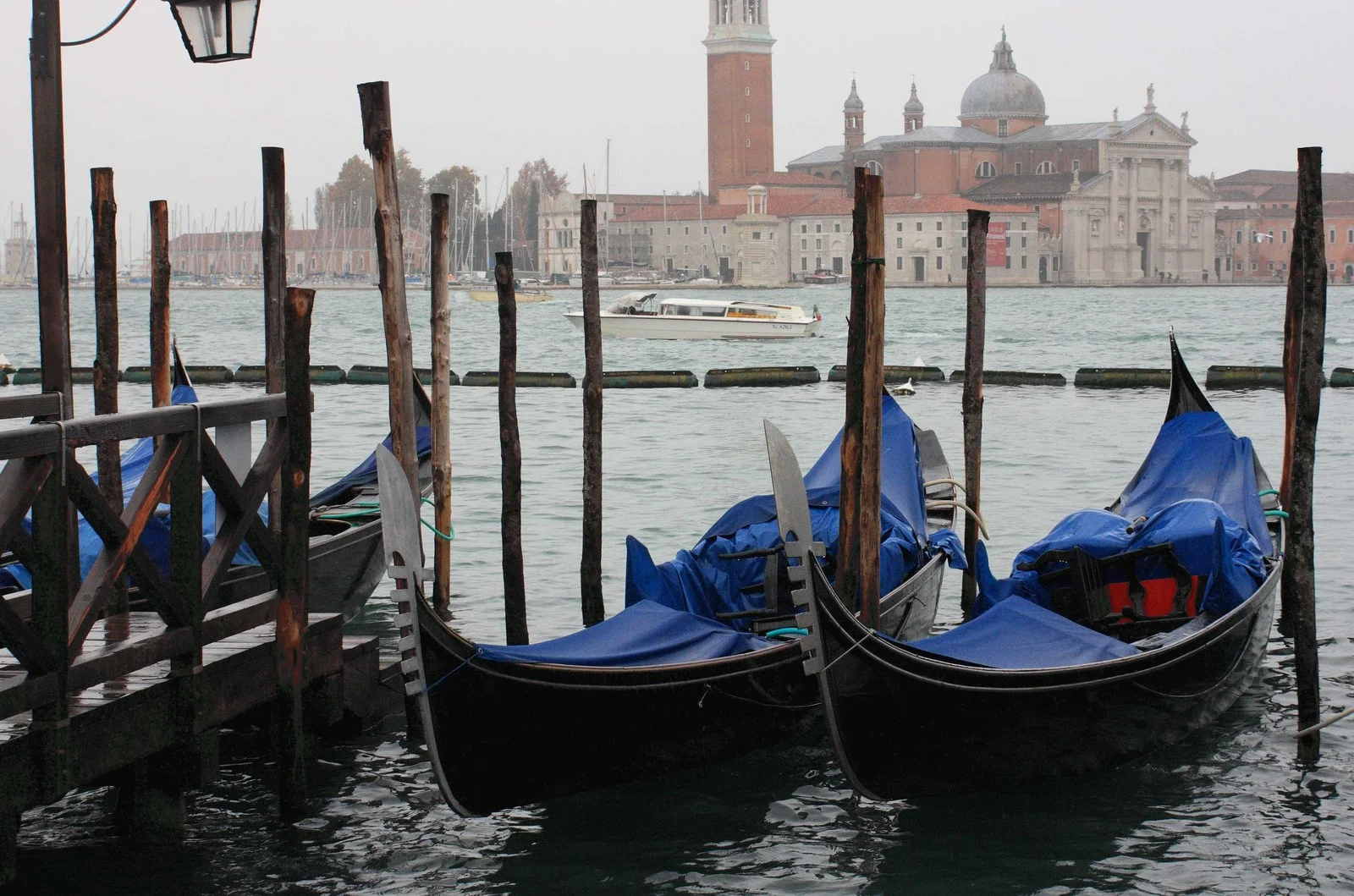 Venice 2010 - L22