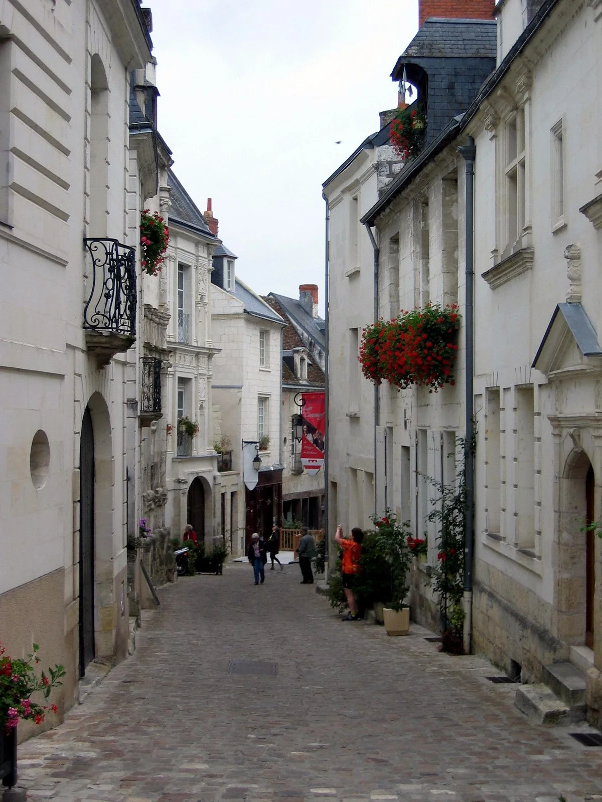 Loire Valley - D15