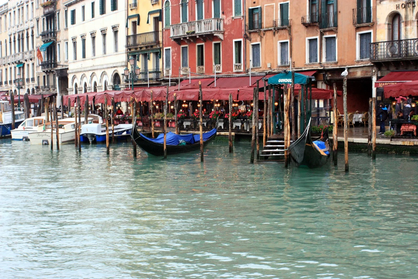 Venice 2010 - L23