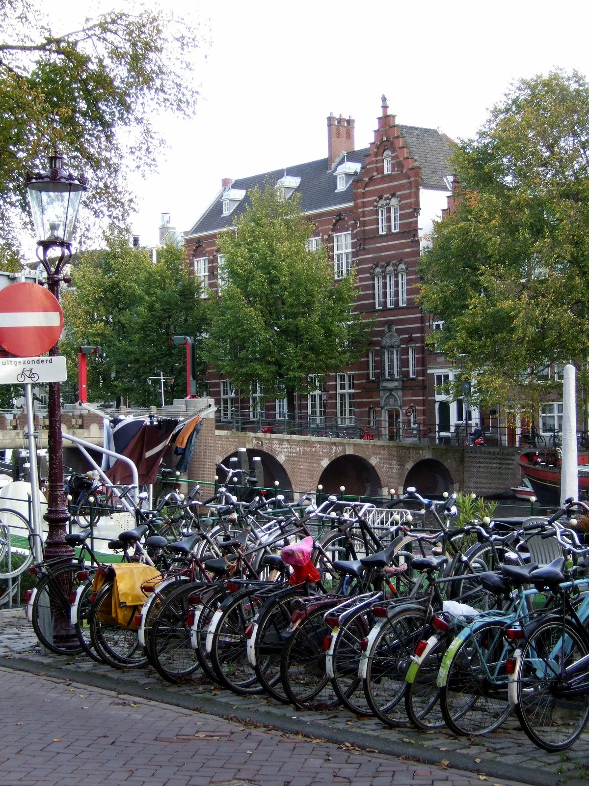 Netherlands - L1