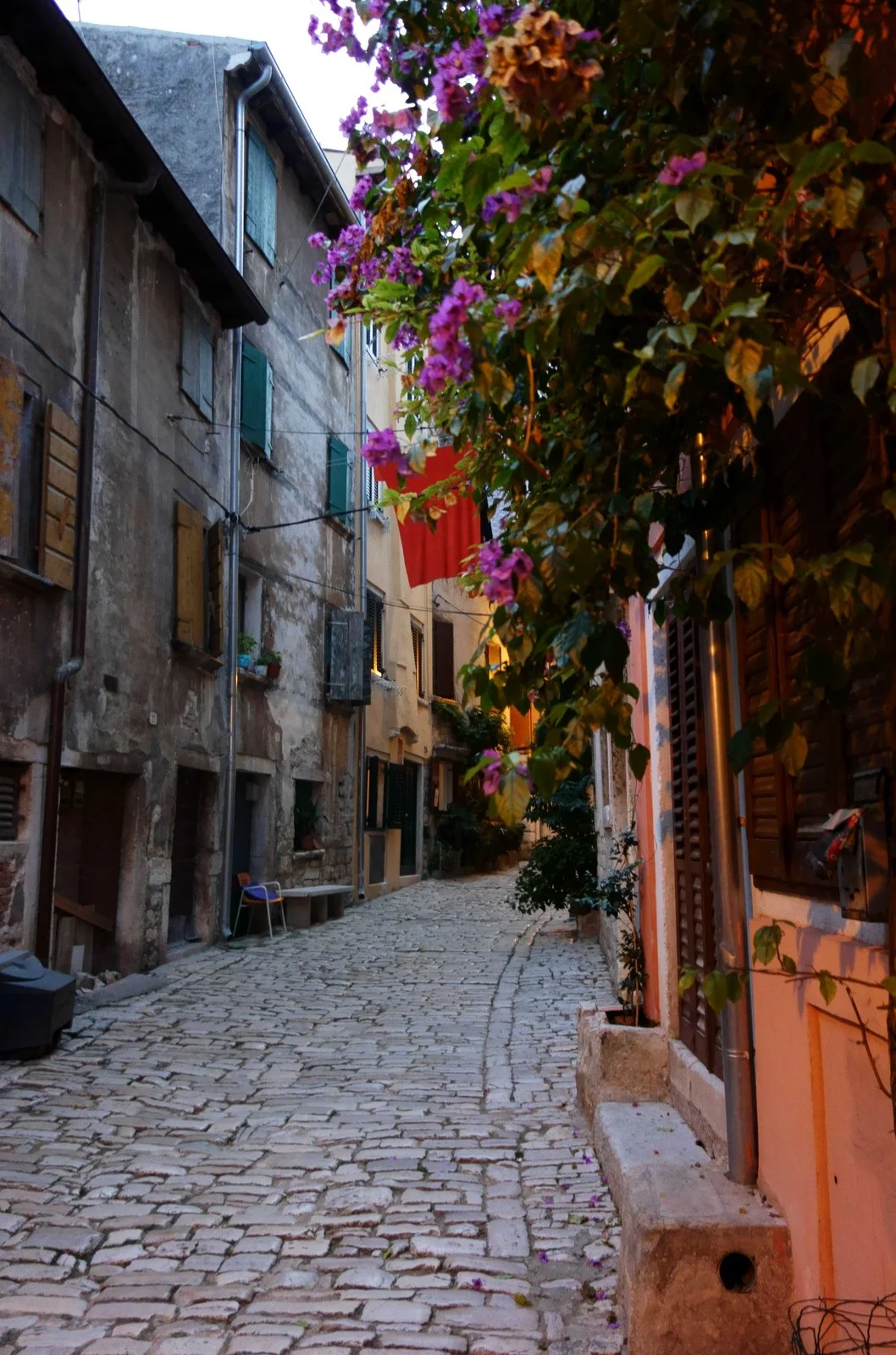 Istria 2014 - D14