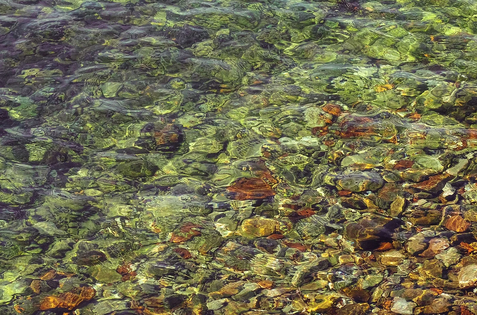 Istria 2014 - L11